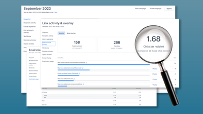 Email Marketing Management